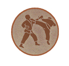 karate_bronce